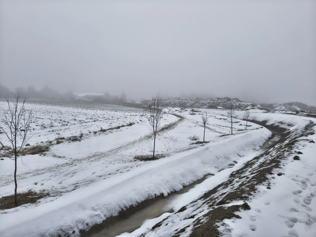 img_20251202_101753405_hdr 002 